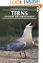 Terns of Europe & North Africa (Helm Identification Guide)