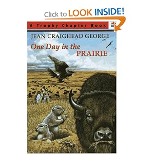 One Day in the Prairie