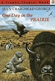 One Day in the Prairie (Trophy Chapter Book)