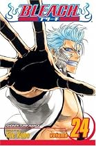 Bleach, Volume 24 (v. 24)