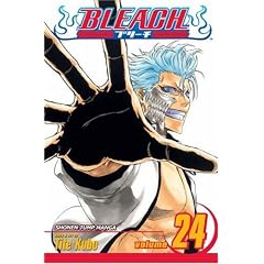 Bleach, Volume 24 (v. 24)