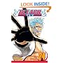 Bleach: v. 24 (Bleach)