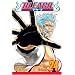 Bleach, Volume 24 (v. 24)