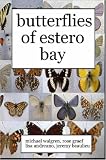 Butterflies of Estero Bay