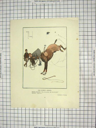 horse riding lessons