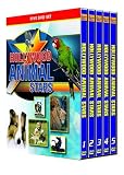 Hollywood Animal Stars