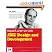 Expert One-on-One J2EE Design and Development