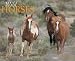 Wild Horses 2007 Calendar