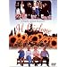 �x��g�X�J�[�i! [DVD]