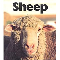 Sheep (Naturebooks)