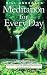 Meditation for Every Day Pb