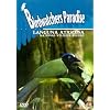 Birdwatchers Paradise - Languna Atascosa National Wildlife Refuge [DVD]