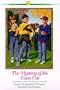 The Mystery of the Coon Cat (Three Cousins Detective Club #25)