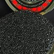 Caspian Sevruga Caviar 1 oz - Fresh Catch Just Arrived!