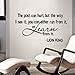 Newsee Decals The Past can Hurt, but The Way I See it, You can Either Run from it or Learn from it -Lion King Vinyl Wall Art Inspirational Quotes and Saying Home Decor Decal Sticker