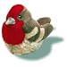 Search : Plush House Finch Audubon Bird 6