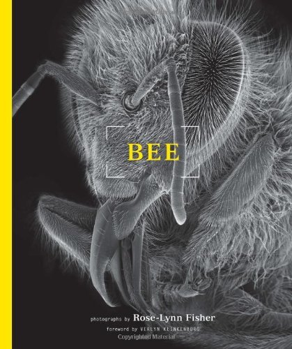 BEE by Rose-Lynn Fisher (1-Aug-2012) Paperback