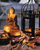Bouddha en Lumiere Subject Art Poster Print, 10x12