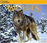 Office Products : Wolves 2009 National Geographic Wall Calendar