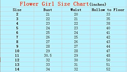 jjhouses Organza Cinderella Crystal Flower Girl Dress (Infant-14) (13, Green)