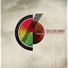 Year of the Black... [Vinyl] [Vinyl LP]