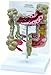 Colon Human Anatomical Model with Pathologies