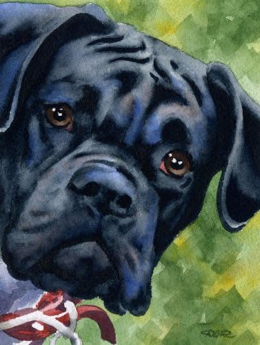 Black Boxer Art Print by Watercolor Artist DJ Rogers