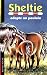 Livres : Sheltie, Tome 22 : Sheltie adopte un poulain