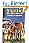 Sheltie, Tome 22 : Sheltie adopte un poulain