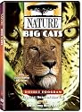 Nature: Big Cats