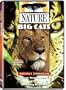 Nature: Big Cats