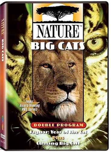 Nature: Big Cats