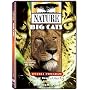Nature: Big Cats