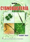 Cyanobacteria