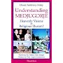 Understanding Medjugorje: Heavenly Visions or Religious Illusion?