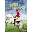 Miracle of the White Stallions