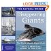 Disappearing Giants: The North Atlantic Right Whale