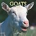 Goats 2007 Calendar