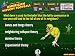 1950s & 1960s American History Football Game on CD