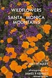 Search : Wildflowers of the Santa Monica Mountains
