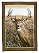 Last Look Hautman Brothers Blanket (Deer)