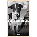 Les merveilles