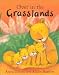 Over in the Grasslands