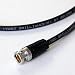 BELDEN �n�C�p�t�H�[�}���XBNC�P�[�u��(10m) NBNC-1505A-10