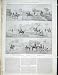 Horses Schoolboys Hyde Park London Antique Print 1889