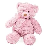 Summer Infant Momies Melodies Gund Bear, Pink