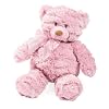 Summer Infant Momies Melodies Gund Bear, Pink