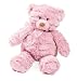 Summer Infant Momies Melodies Gund Bear, Pink