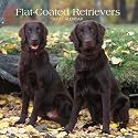 Flat-Coated Retrievers 2007 Calendar