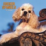 Cocker Spaniels 2007 Calendar